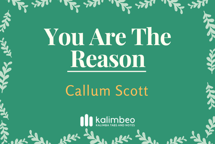 you-are-the-reason-callum-scott-kalimba-tabs